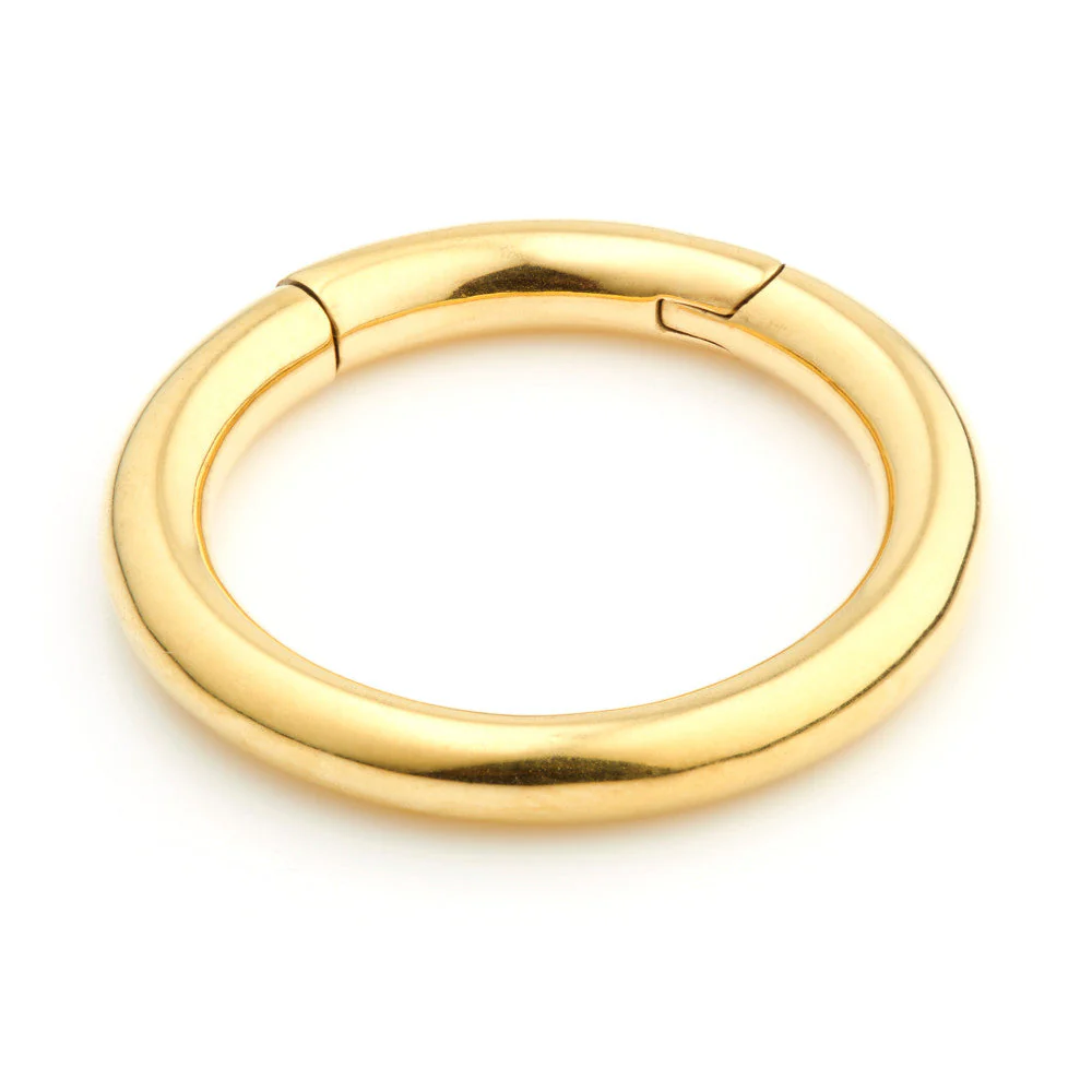 24ct Gold PVD Steel Hinge Segment Ring - 2.5mm