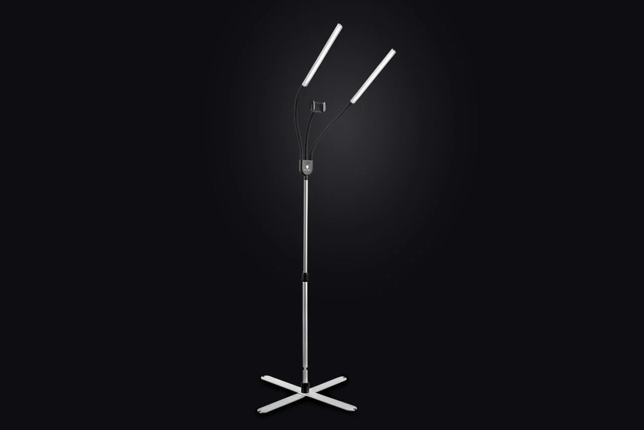Daylight Gemini