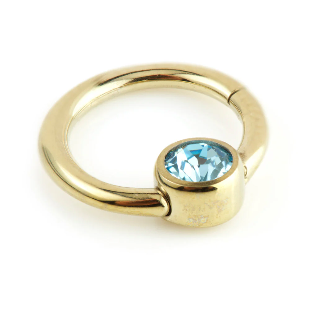 Rose Gold Ti Hinge Segment Ring with Gem - 1.2mm - Image 4
