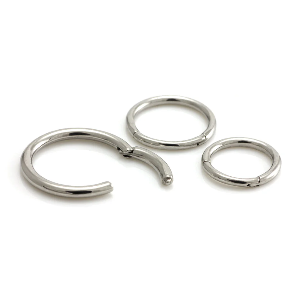 Steel Hinge Segment Ring