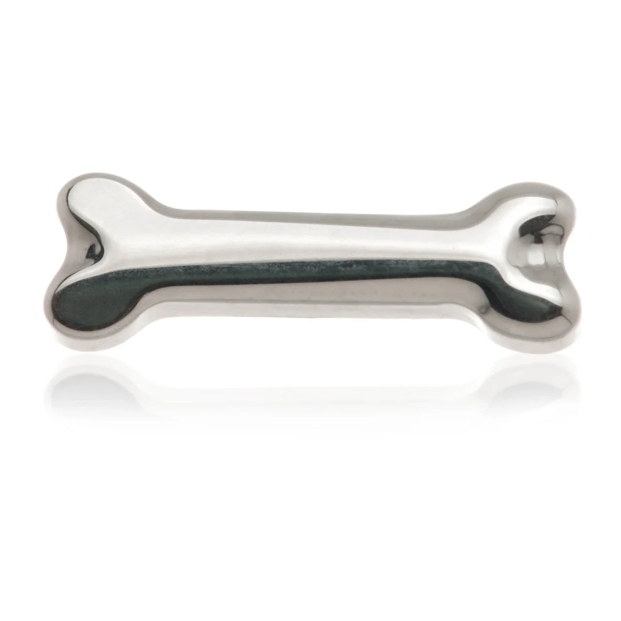 Ti Internal Thread Bone Attachment
