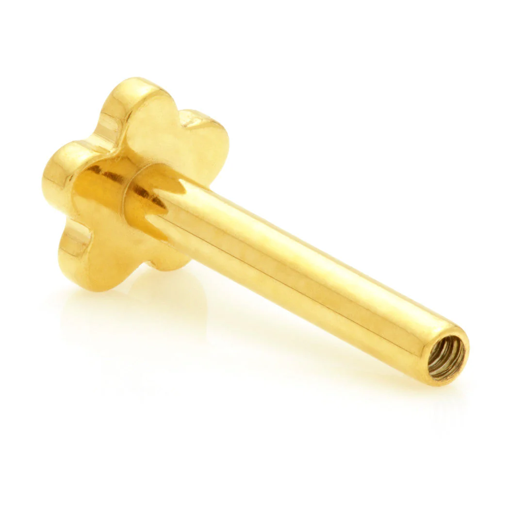 TL - Zircon Gold Ti Threadless Labret Stem with Flower Base - Image 2
